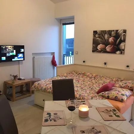 Bella Klinovec Διαμέρισμα Loučná pod Klínovcem